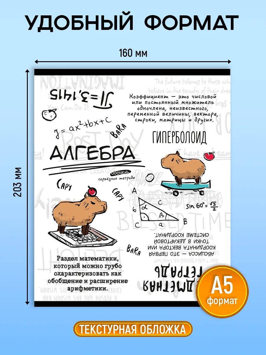 Набор предметных тетрадей Prof-Press, 10 шт, 48 листов, со справочным материалом, в клетку и линейку — фото 1