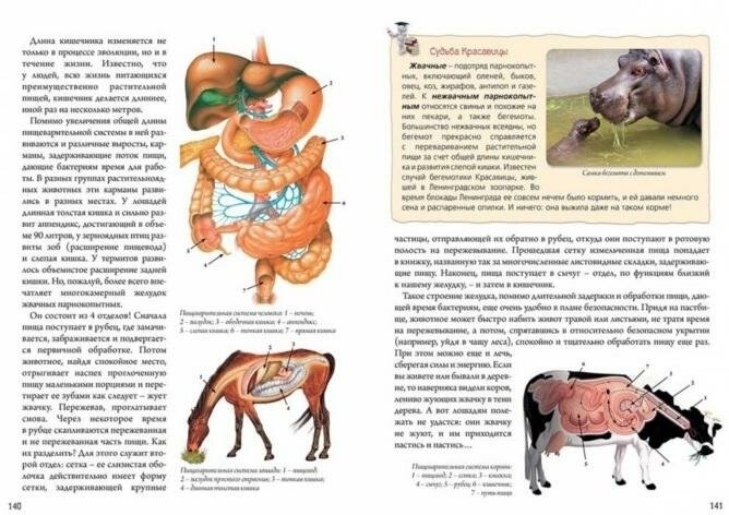 Нескучная биология с задачами и решениями - фото №12