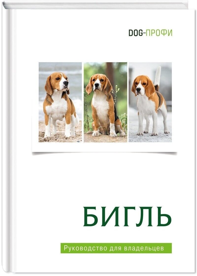 Книга про собак породы Бигль. Руководство для владельцев