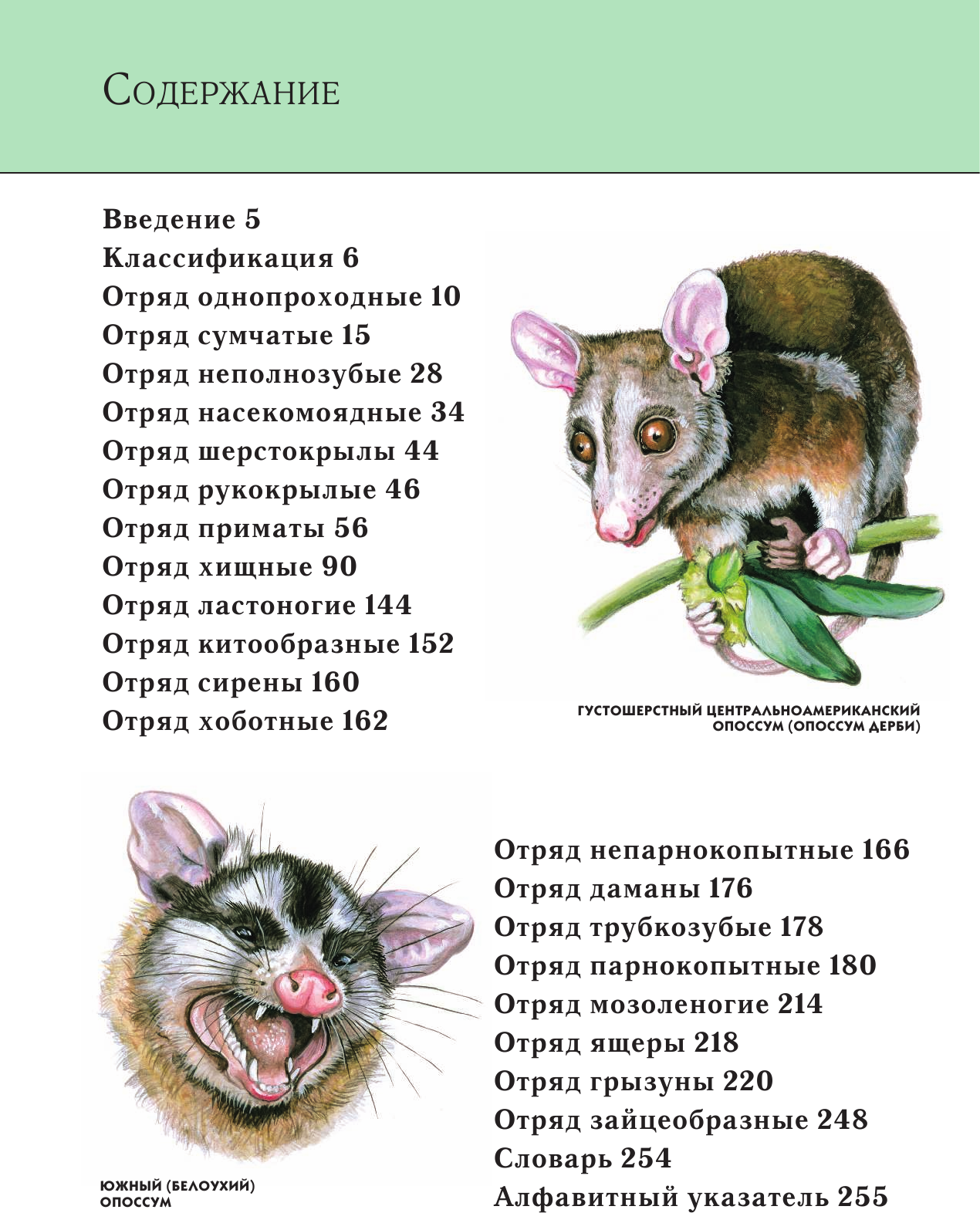 Животные. Полная энциклопедия (Школьник Юлия Константиновна) - фото №2
