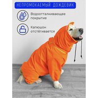Дождевик для собак средних и крупных пород / Оранжевый / Размер XL