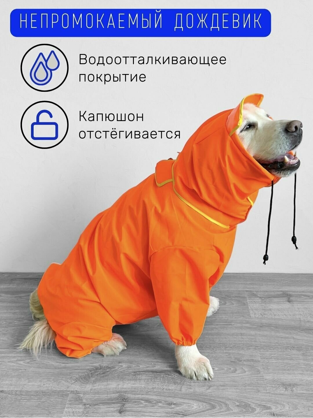 Дог