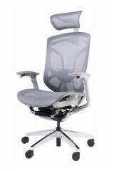 Премиум эргономичное кресло GT Chair Dvary X, серый