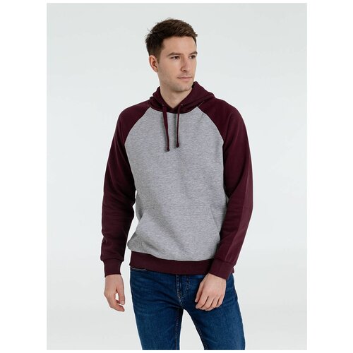 фото Худи sol's, размер 56, серый, бордовый