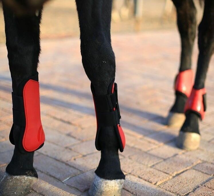 Ногавки для лошади передние коричневые, размер L - фотография № 3