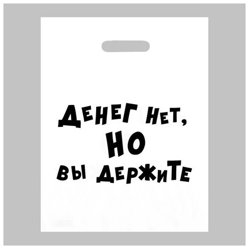 Пакет с приколами, полиэтиленовый, с вырубной ручкой, «Денег нет, но вы держите», 31 х 40 см, 60 мкм