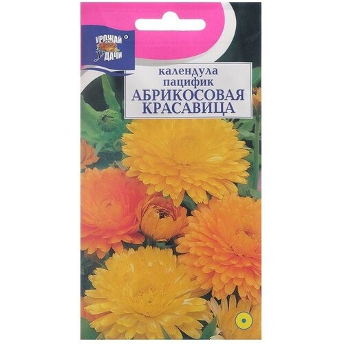 Семена цветов Календула красавица Абрикосовая, 0,5 г (3 шт)