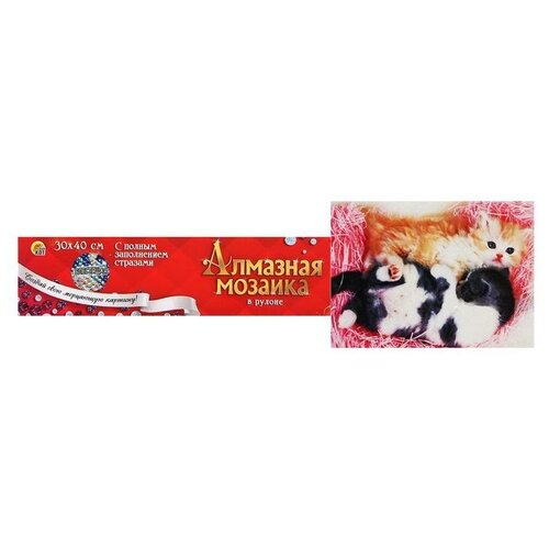 Купить Алмазная мозаика блестящая 30х40 см, без подрамника, с полным заполнением «Два маленьких котёнка», Рыжий кот