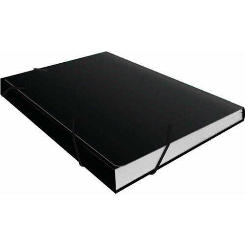 картотека для документов 320x240x160мм гофрокарт Папка-картотека пластиковая А4 На резинке с 13 отделениями черная (26233)
