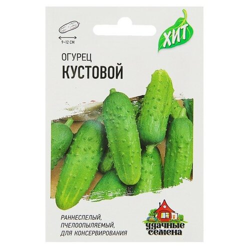 Семена Огурец Кустовой, раннеспелый, пчелоопыляемый, 0,3 г серия ХИТ х3