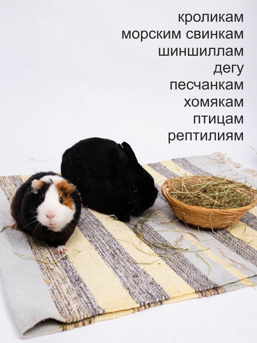 Луговое сено со злаками для грызунов и кроликов - фотография № 5