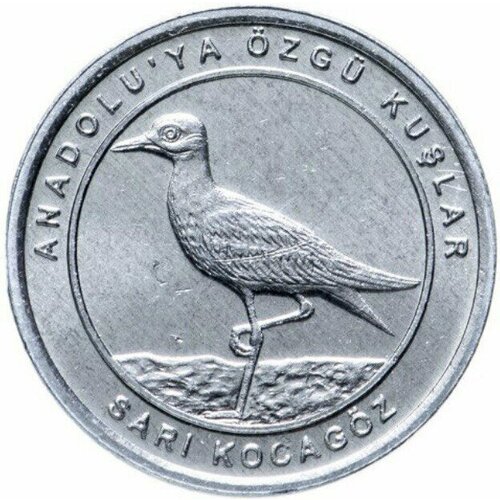 Монета 1 куруш Авдотка. Анталийские птицы. Турция, 2020 г. в. СостояниеUNC монета 1 куруш турция 2005 г в состояние unc без обращения