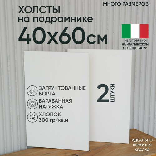 Холст на подрамнике, 2 шт, размер 40 х 60 см, Артель художников, хлопок 300 г/м2, грунтованный