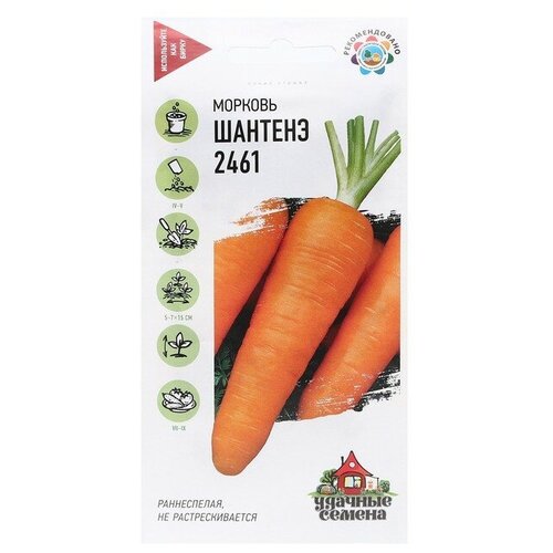 Семена Гавриш Удачные семена Морковь Шантенэ 2461 2 г семена морковь шантенэ 2461 б п 2 г