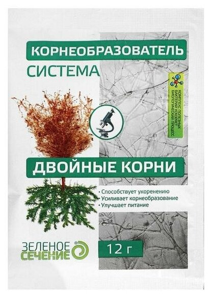 Система корнеобразования 