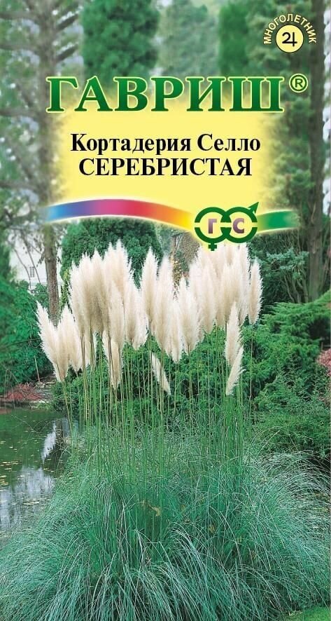Семена Кортадерия Серебристая (Пампасная трава) 8 шт. / 1 упаковка / Многолетние цветы