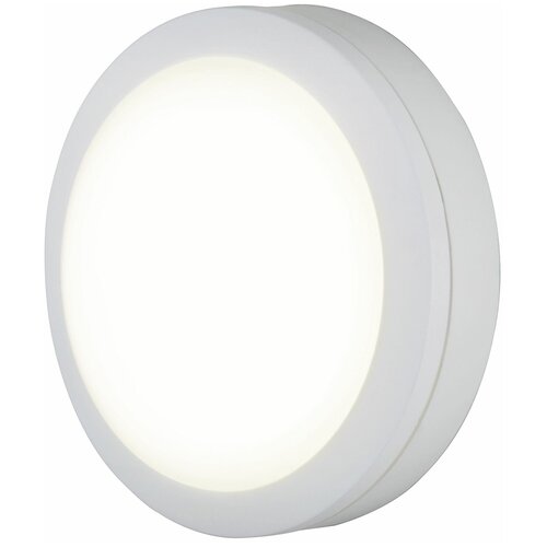 Светильник настенный светодиодный влагозащищенный Elektrostandard LTB51 8 м кв.м., белый свет, цвет белый