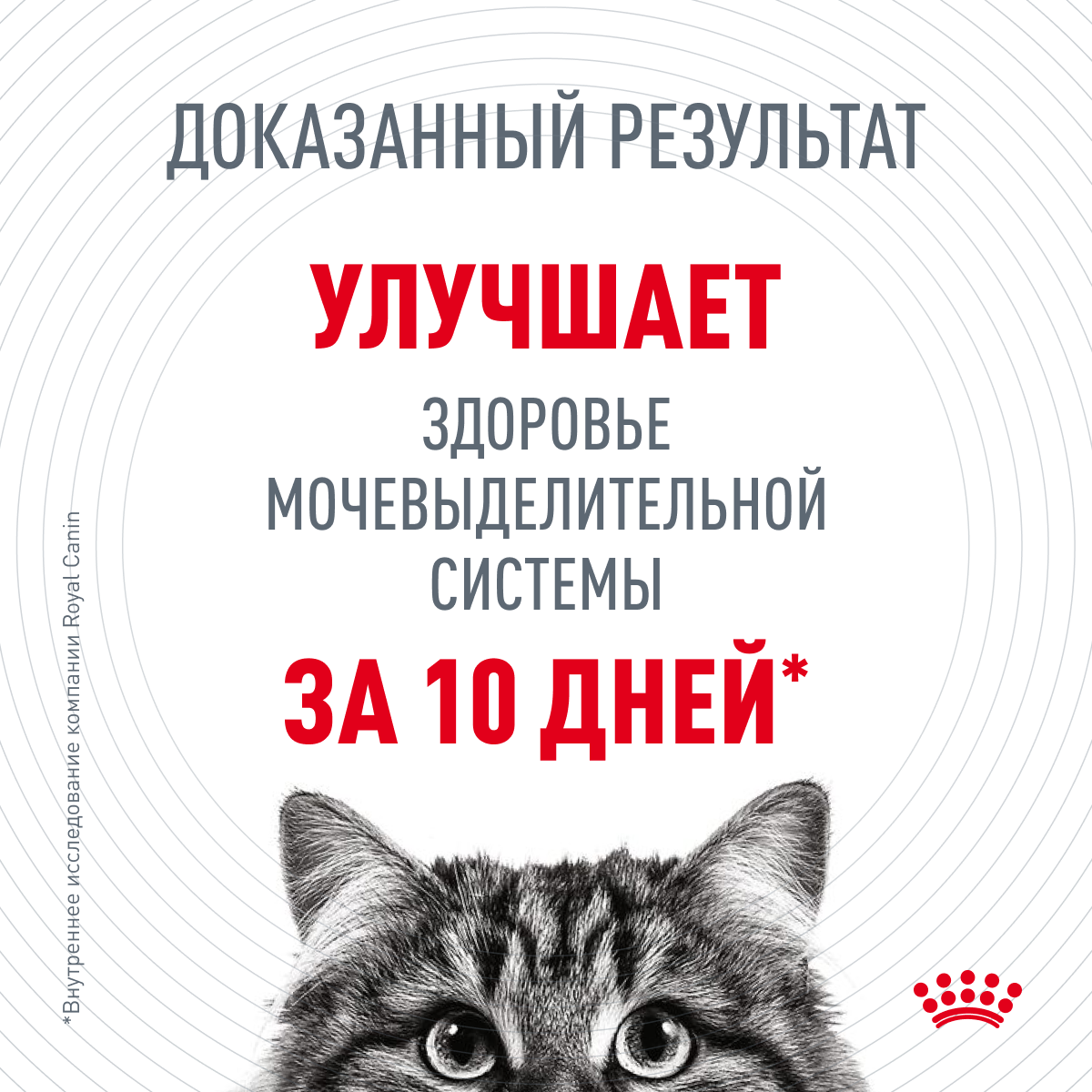 Сухой корм для кошек Royal Canin Urinary Care (Уринари Кэа), для поддержания здоровья мочевыделительной системы от 1 до 12 лет, 0,4 кг