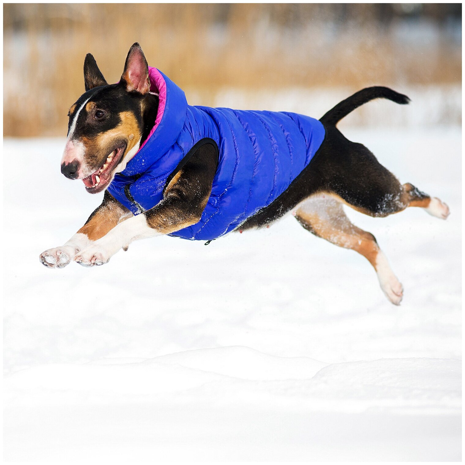 Куртка для собак Collar AiryVest двусторонняя розово-фиолетовая (M45) - фотография № 4