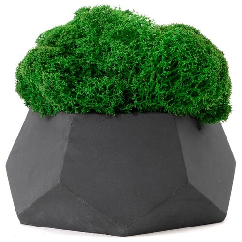 Кашпо бетонное со мхом Альфа, циркон, OKTAUR