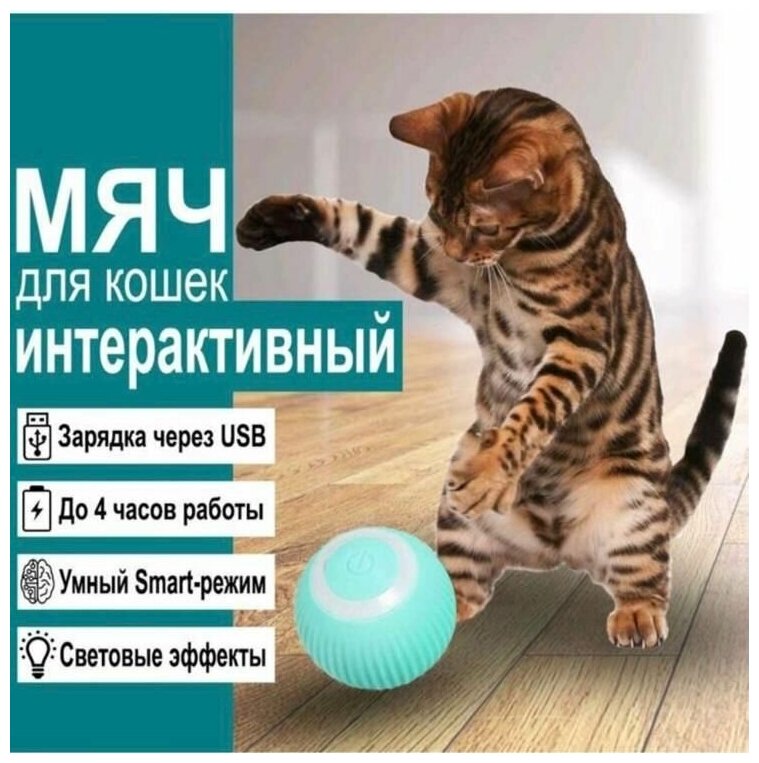 Игрушка для кошек и собак интерактивный мяч - фотография № 1