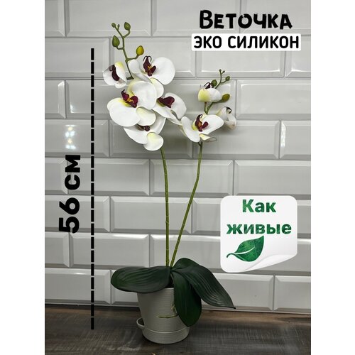 Орхидея ЭКО-силикон, 56 см