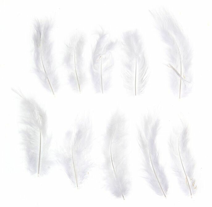 Набор перьев для декора 10 шт размер 1 шт: 10 x 2 см цвет белый
