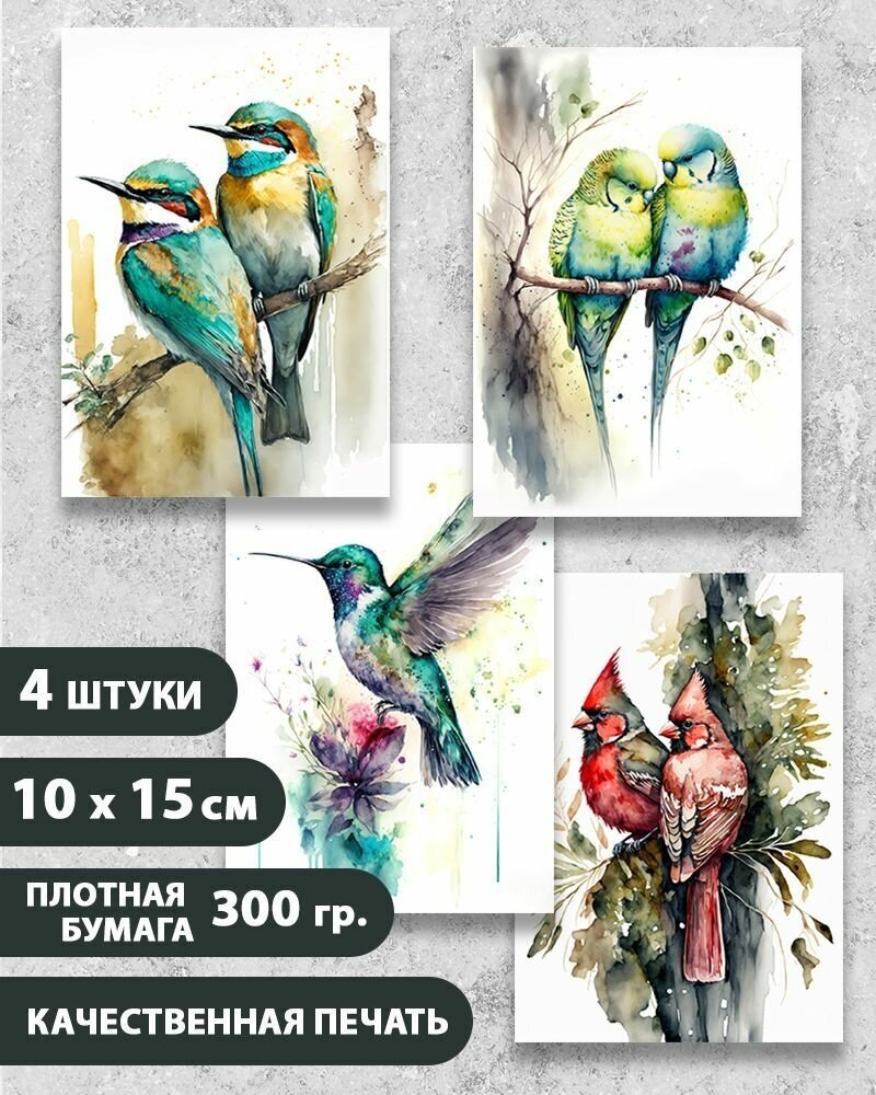 Набор открыток "Птицы 4", 10.5 см х 15 см, 4 шт, InspirationTime, на подарок и в коллекцию