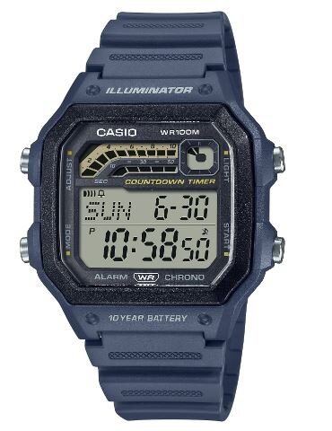 Наручные часы CASIO Collection WS-1600H-2A