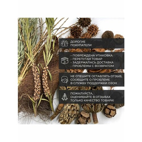 Природные материалы для творчества Мастерская души