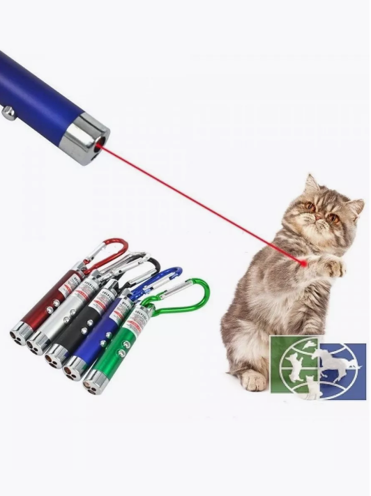 "Игрушка для кошек" - лазерная указка - фотография № 2
