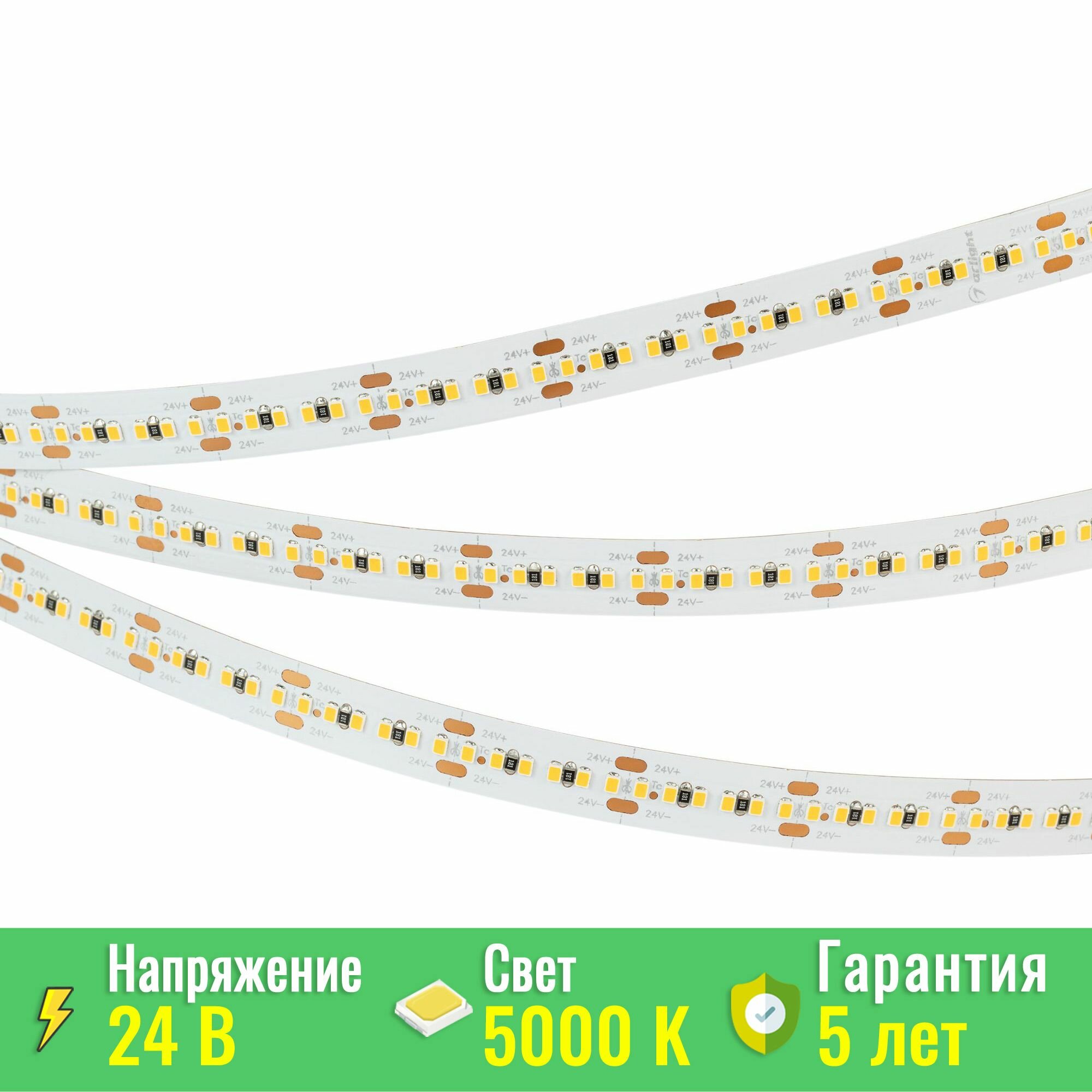 Светодиодная лента MICROLED-M300-10mm 24V Day5000 (21.6W/m, IP20,2216, 5m) (Arlight, 21.6 Вт/м, IP20) 023588(1)
