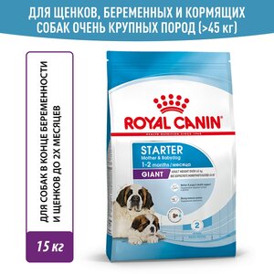 Royal Canin Giant Starter (Джайнт Стартер) - Сухой корм для щенков гигантских пород до 2 месяцев (15 кг)