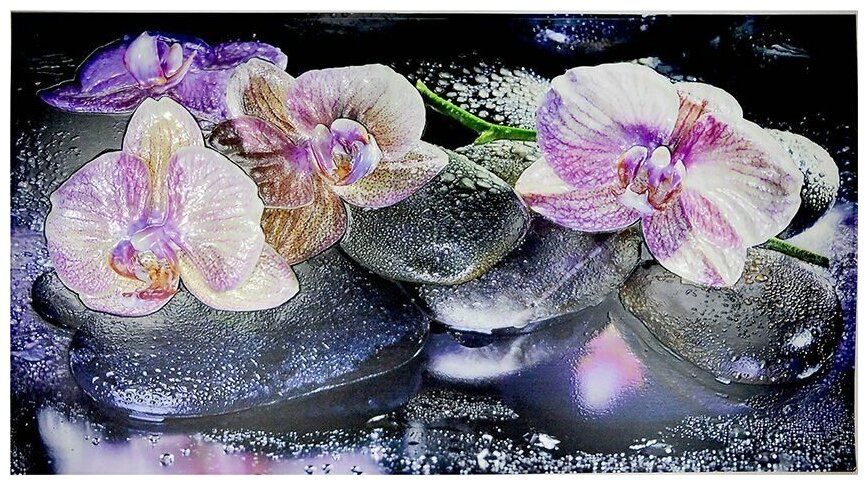 Фартук-панно ПВХ Орхидеи на камне 1002*602 в колличестве 5 шт. (3,02 м2) - фотография № 1