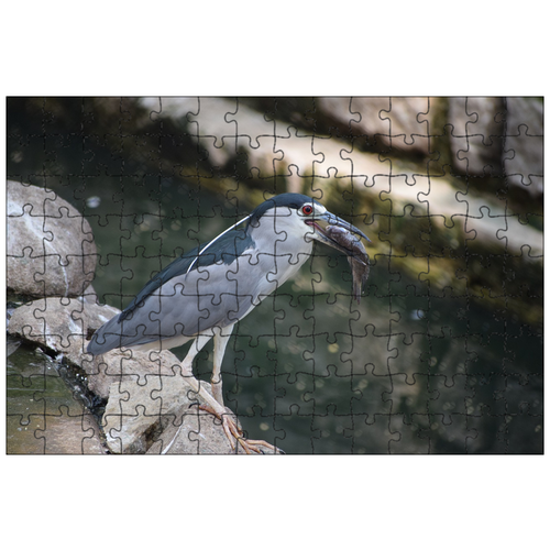 фото Магнитный пазл 27x18см."биологические парка баннергхатта, рыбы, птица" на холодильник lotsprints