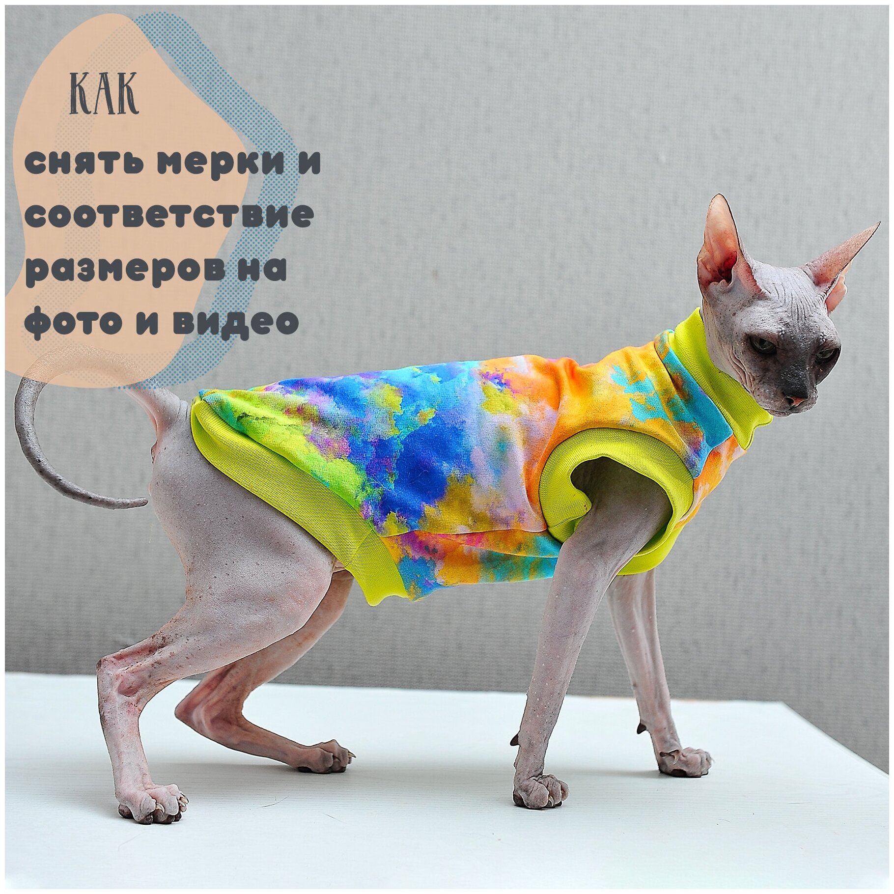 Одежда для кошек Элегантный Кот, футболка Фестиваль Красок , размер XL - фотография № 6