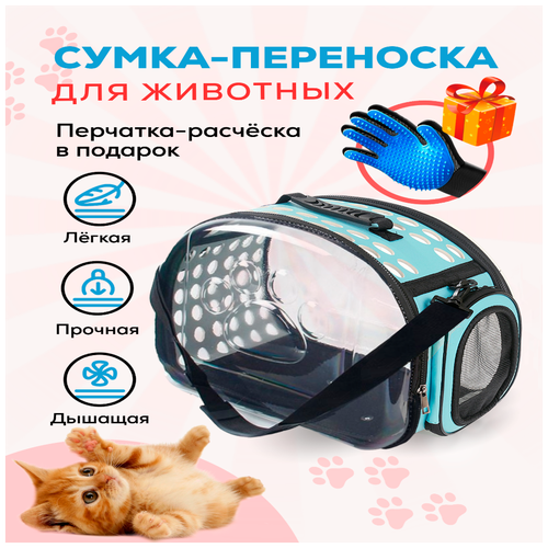 сумка переноска для животных keyprods складная Переноска для кошек, собак и грызунов / Сумка с жестким каркасом, голубая