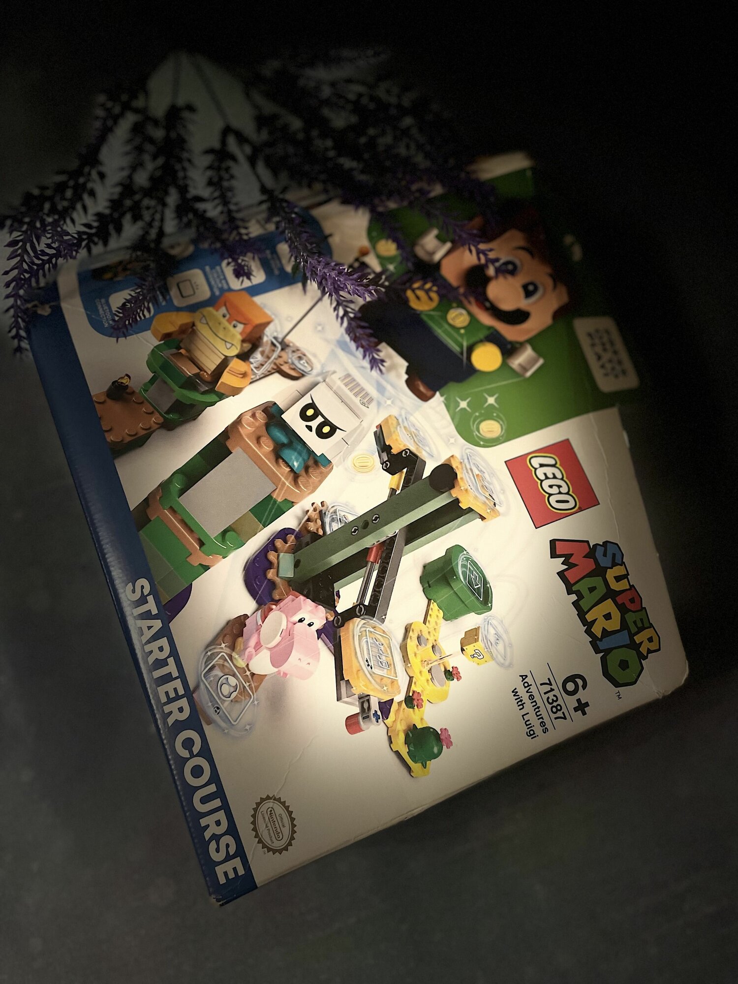 Конструктор LEGO Super Mario Стартовый набор Приключения вместе с Луиджи - фото №19