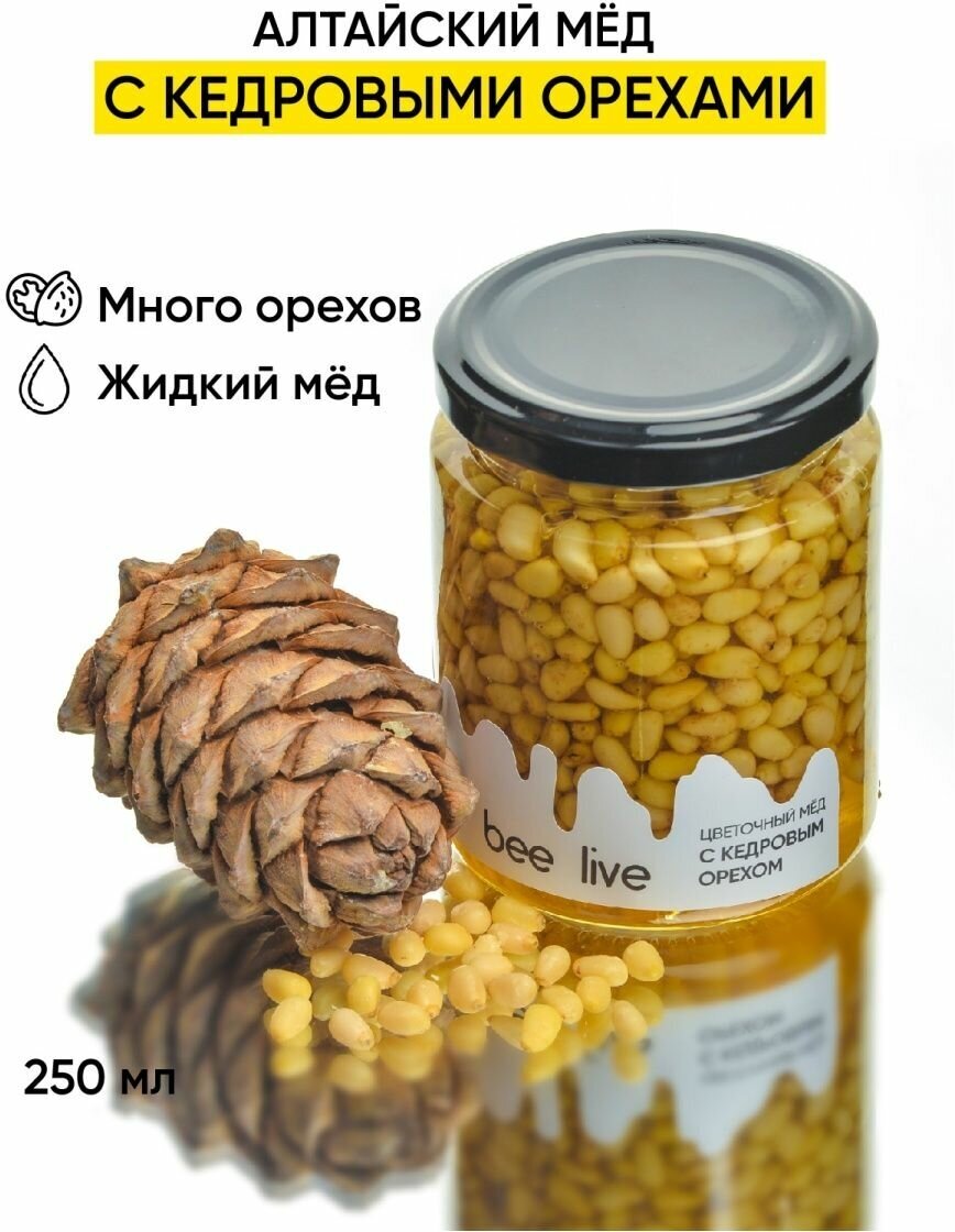Алтайский мед с кедровым орехом