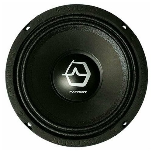 Эстрадная акустика Ural AS-PT165 PATRIOT BLACK EDITION 863000₽