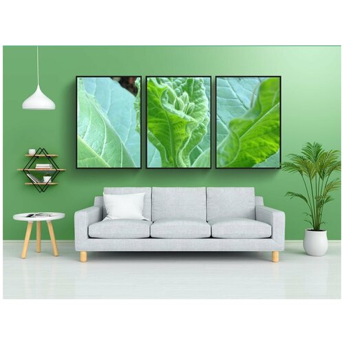 фото Набор модулных постеров для интерьера "завод табака, цвести, табак" 60x90 см. в тубусе, без рамки lotsprints