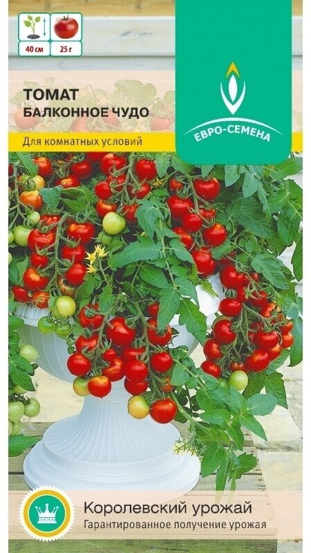 Томат Балконное чудо. Семена. Среднеспелый сорт. Идеален для горшков. Растение небольшое, плоды массой до 30 гр.