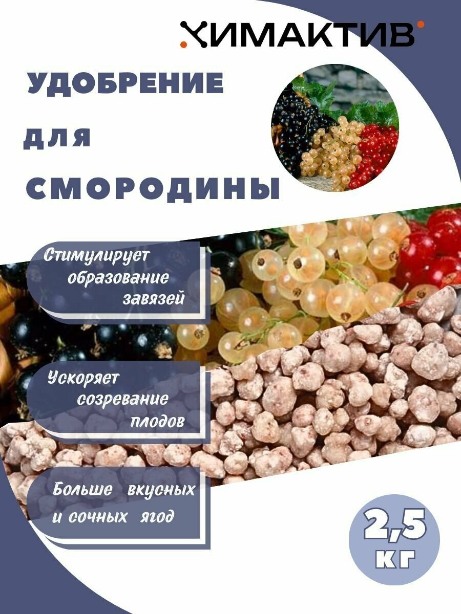 Удобрение для смородины 2,5кг Химактив А