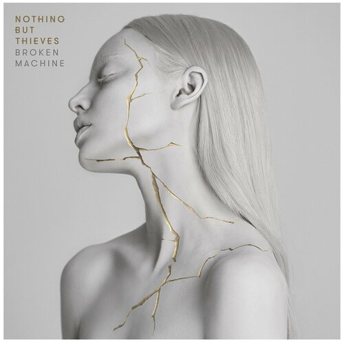 Виниловая пластинка Sony Music NOTHING BUT THIEVES BROKEN MACHINE sony music nothing but thieves moral panic виниловая пластинка