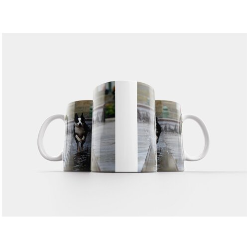 фото Кружка "бордер-колли, городской фонтан, бегущая собака" 320 мл lotsprints
