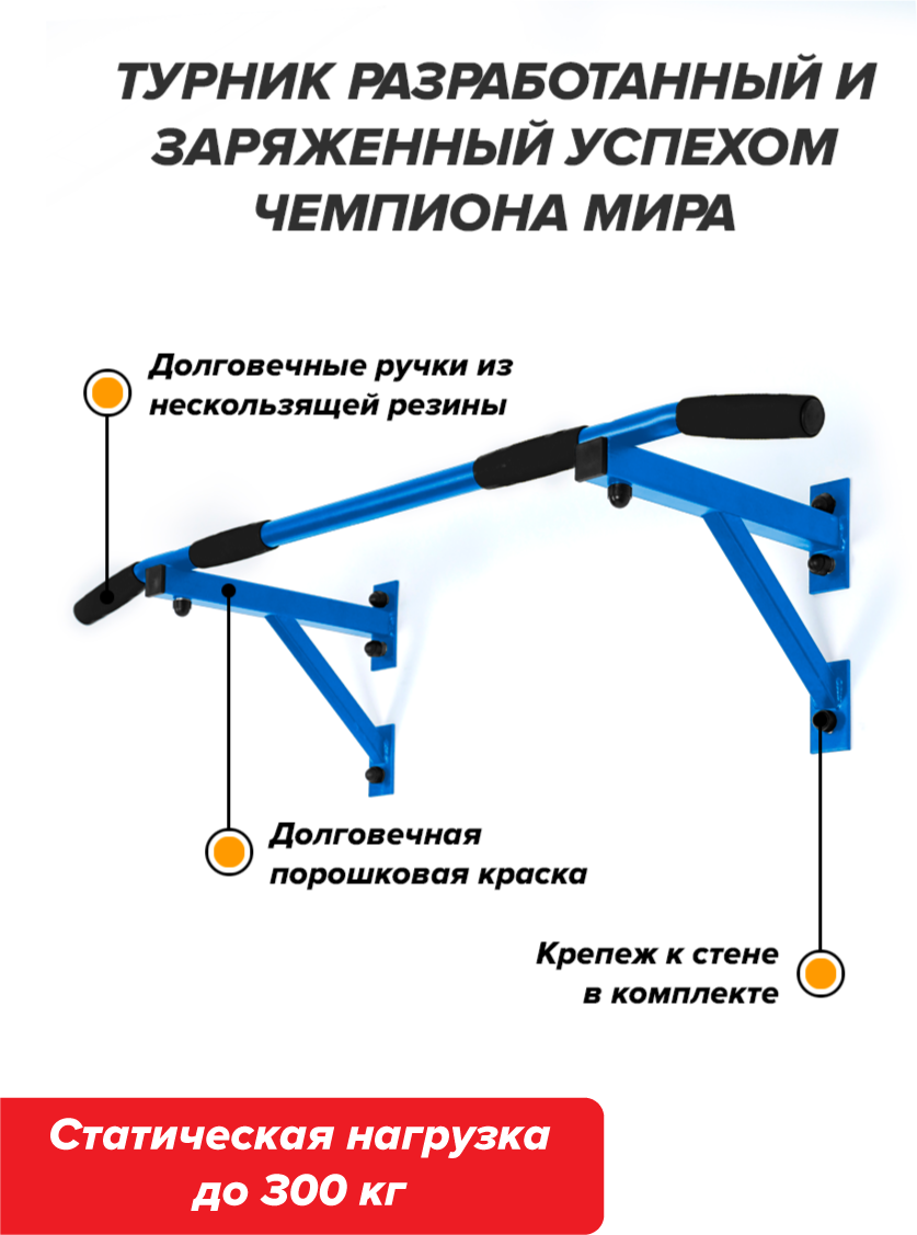 Турник настенный Aktiv синий разборный Aktiv/Absolute Champion