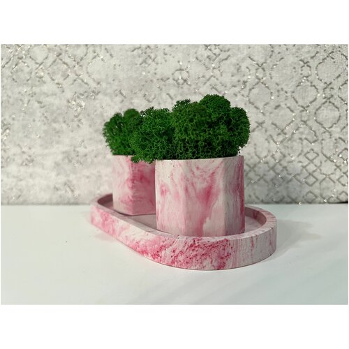 Набор кашпо со стабилизированным зеленым мхом и подносом