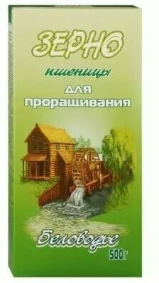 Беловодье Зерно пшеницы для проращивания, 500 г - 6 шт - фотография № 2