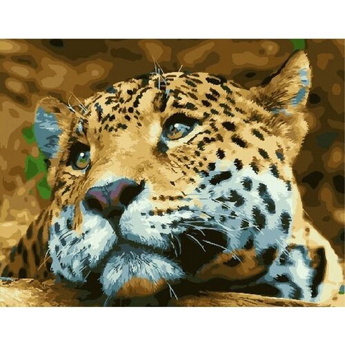 Картина по номерам Леопард 40х50 см Hobby Home картина по номерам леопард у воды 40х50 см