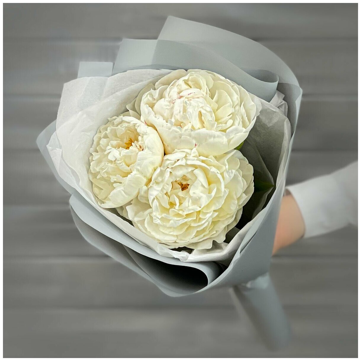Букет живых цветов из 3 белых пиона в упаковке